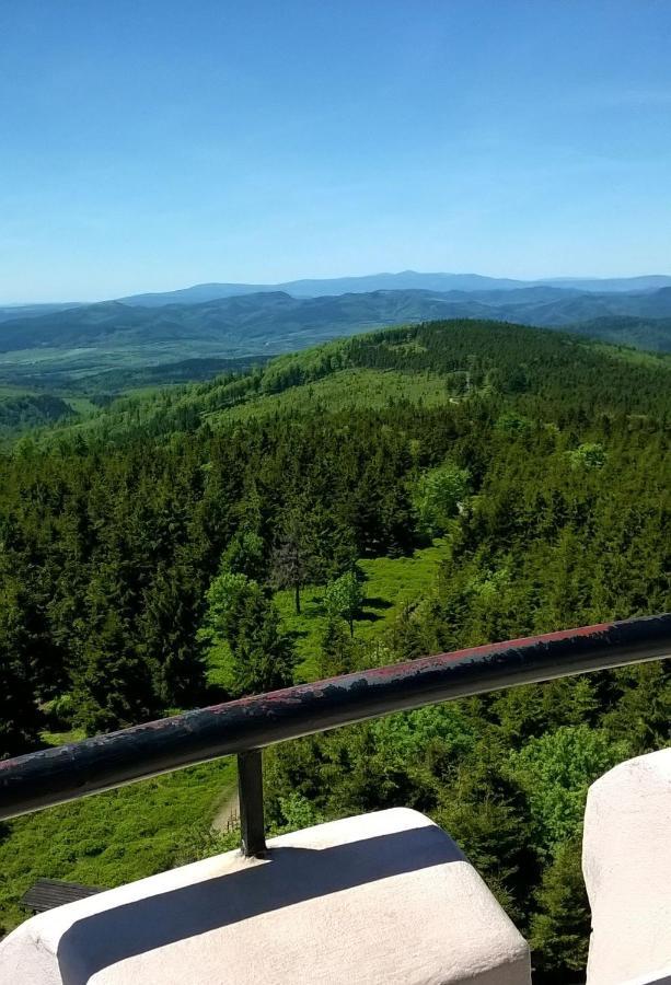 Ferienwohnung Minisowa Jedlina-Zdroj Exterior foto