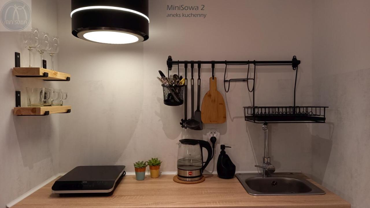 Ferienwohnung Minisowa Jedlina-Zdroj Exterior foto