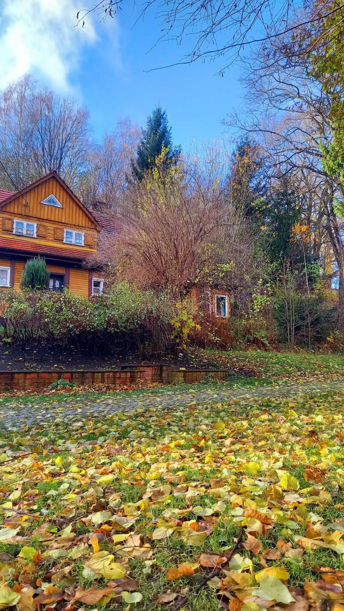 Ferienwohnung Minisowa Jedlina-Zdroj Exterior foto